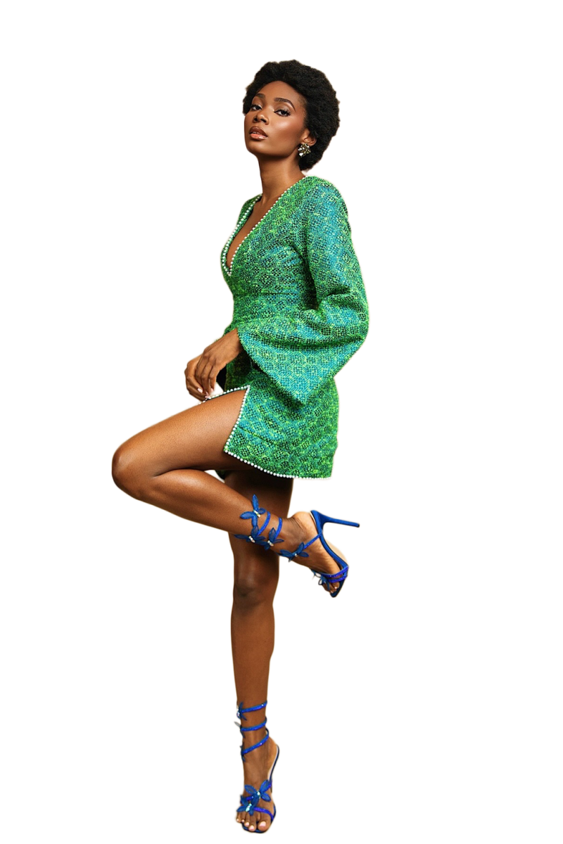 Jason Porshe Andro Pearl Dress - Image 2
